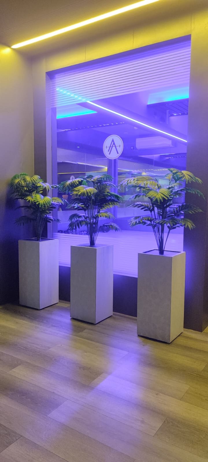 gallery